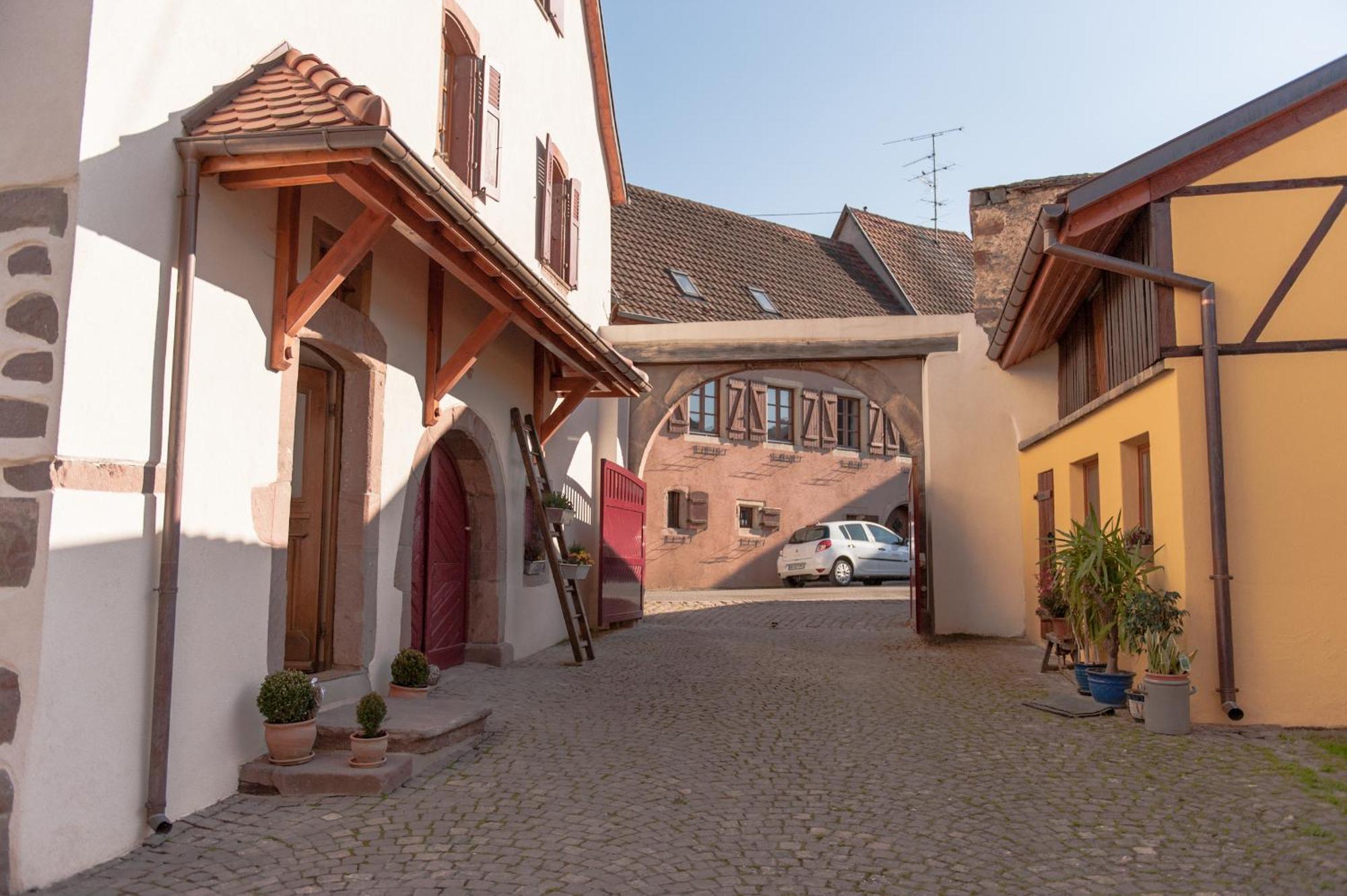 La Maison D'Emilie Pfaffenheim Exteriör bild